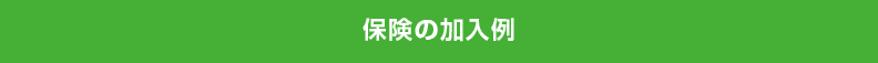 保険の加入例