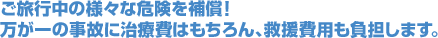 ご旅行中の様々な危険を補償!万が一の事故に治療費はもちろん、救援費用も負担します。