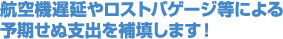 航空機遅延やロストバゲージ等による予期せぬ支出を補填します！