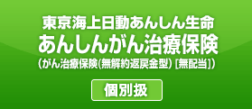 東京海上日動あんしん生命 がん治療支援保険NEO　個別扱