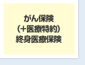 がん保険（＋医療特約）終身医療保険